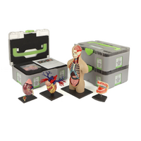 Учебный набор "Анатомия в деталях" - «globural.ru» - Якутск