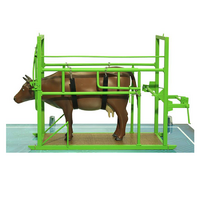 Наглядный макет «Методы и устройства для фиксации КРС» - «globural.ru» - Якутск