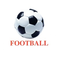 Карточки Домана "Sports equipment-1" ("Спортинвентарь-1") на английском языке - «globural.ru» - Якутск