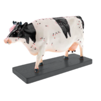 Электрифицированный макет коровы на каркасе - «globural.ru» - Якутск