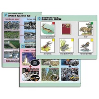 Комплект таблиц для  начальной школы "Окружающий мир. Экология" - «globural.ru» - Якутск