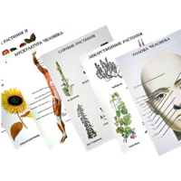 Таблицы по природоведению 1-3 класс - «globural.ru» - Якутск