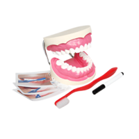 Игровой комплект "Чистим зубы" - «globural.ru» - Якутск