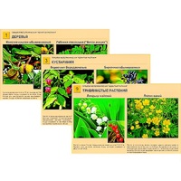 Гербарий фотографический "Ядовитые растения" - «globural.ru» - Якутск