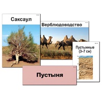 Модель-аппликация "Природные зоны России" - «globural.ru» - Якутск