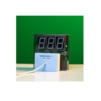 Датчик температуры с независимой индикацией (термометр демонстрационный) - «globural.ru» - Якутск