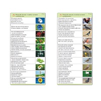 Комплект карточек (10) "Обучающий калейдоскоп. Природа" - «globural.ru» - Якутск