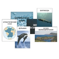 Модель-аппликация "Океаны. Знакомство" (ламинированная) - «globural.ru» - Якутск