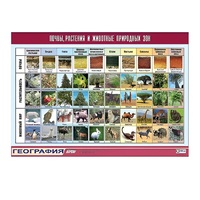 Таблица демонстрационная "Почвы, растения и животные природных зон" (винил 100x140) - «globural.ru» - Якутск