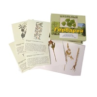 Гербарий "Систематика растений. Семейство Бобовые. Злаки" (раздаточный) - «globural.ru» - Якутск