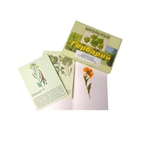 Гербарий "Систематика растений. Семейство Пасленовые. Крестоцветные. Сложноцветные" (раздаточный) - «globural.ru» - Якутск