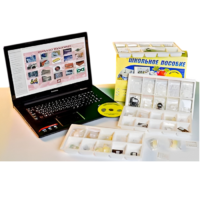 Коллекция натурально-интерактивная "Пластмассы" - «globural.ru» - Якутск