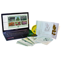 Гербарий натурально-интерактивный "Лекарственные растения" - «globural.ru» - Якутск