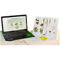 Гербарий натурально-интерактивный "Морфология растений" - «globural.ru» - Якутск