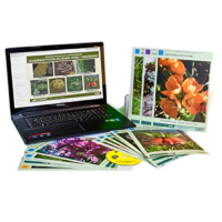 Гербарий натурально-интерактивный "Основные группы растений. Грибы. Лишайники" - «globural.ru» - Якутск