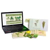 Гербарий натурально-интерактивный "Растительные сообщества. Лес" - «globural.ru» - Якутск