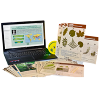 Гербарий натурально-интерактивный к курсу основ общей биологии - «globural.ru» - Якутск