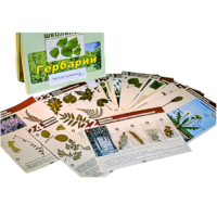 Гербарий к курсу основ общей биологии - «globural.ru» - Якутск