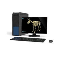 Макет масштабный «Скелет Коровы» Масштаб 1:2 - «globural.ru» - Якутск