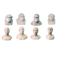 Набор палеонтологических муляжей - «globural.ru» - Якутск