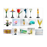 Комплект ботанических моделей демонстрационный - «globural.ru» - Якутск