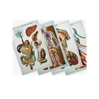 Таблицы рельефные - «globural.ru» - Якутск