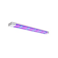 Фитолампа - «globural.ru» - Якутск