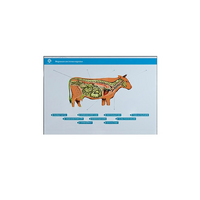 Стенд-планшет светодинамический "Изучение нервной системы сельскохозяйственных животных" со сменными панелями - «globural.ru» - Якутск
