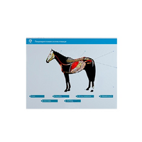 Стенд-планшет светодинамический "Изучение пищеварительной системы сельскохозяйственных животных" со сменными панелями - «globural.ru» - Якутск