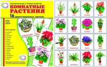 Демонстрационные карточки "Комнатные растения" - «globural.ru» - Якутск