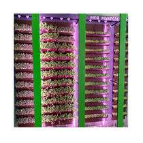 Вертикальная ферма "Моя Микрозелень" комплектация Школьная - «globural.ru» - Якутск