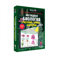 Наглядная биология. Растения. Грибы. Бактерии - «globural.ru» - Якутск