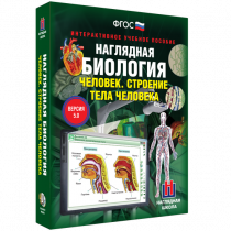 Наглядная биология. Человек. Строение тела человека - «globural.ru» - Якутск
