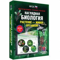 Наглядная биология. Растение - живой организм - «globural.ru» - Якутск