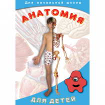 DVD  Анатомия для детей - «globural.ru» - Якутск
