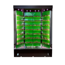 Вертикальная ферма "Моя Микрозелень" комплектация "Театро настольная" - «globural.ru» - Якутск