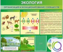 Стенд "Экология. Организация и функционирование сообществ" - «globural.ru» - Якутск