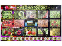 Комплект оборудования "Живой уголок" (растения) с тифлопереводом и сурдокомментариями - «globural.ru» - Якутск