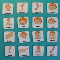 Набор карточек "Части тела" - «globural.ru» - Якутск