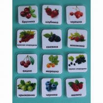 Набор карточек "Ягоды" - «globural.ru» - Якутск