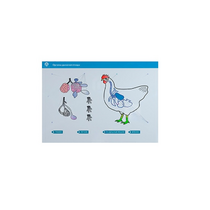 Стенд-планшет светодинамический "Изучение органов дыхания сельскохозяйственных животных" со сменными панелями - «globural.ru» - Якутск