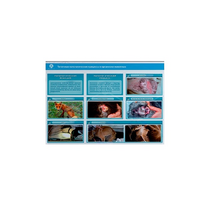 Стенд-планшет светодинамический "Изучение типических патологических процессов в организмах животных" - «globural.ru» - Якутск