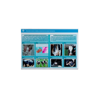 Стенд-планшет светодинамический «Изучение асептических и гнойных воспалительных процессов» - «globural.ru» - Якутск