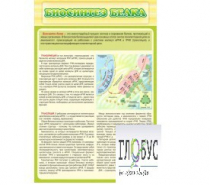 Стенд "Биосинтез белка" - «globural.ru» - Якутск