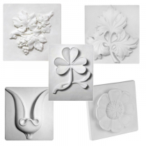 Комплект гипсовых моделей растений  - «globural.ru» - Якутск