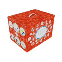 Набор для конструирования программируемых роботов, кибернетических систем и интернета вещей с одноплатным мини-компьютером - «globural.ru» - Якутск