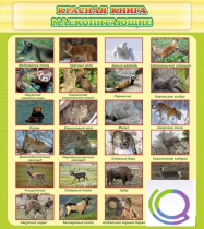 Стенд "Красная книга - млекопитающие" - «globural.ru» - Якутск
