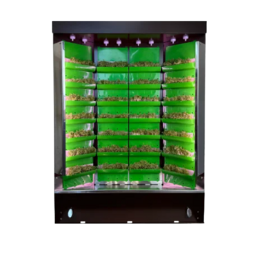 Вертикальная ферма "Моя Микрозелень" комплектация "Театро настольная" - «globural.ru» - Якутск