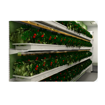 Стеллаж для выращивания клубники "Стена" - «globural.ru» - Якутск