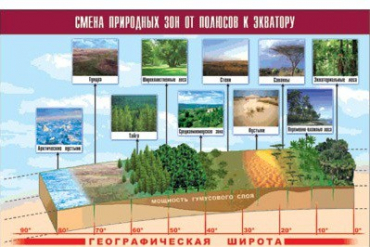 Таблица демонстрационная "Смена природных зон от полюсов к экватору" (винил 100x140) - «globural.ru» - Якутск